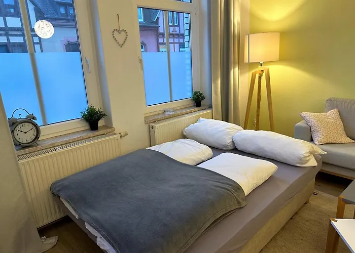 Stilvolle, Charmante Ferienwohnung In Plauen